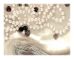 pearls-in-shell-with-tiny-shells-old-photo.jpg pearls-in-shell-with-tiny-shells-old-photo.jpg