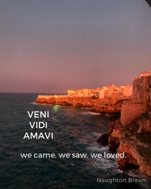 Veni Vidi Amavi – The Pursuit Of Greyness